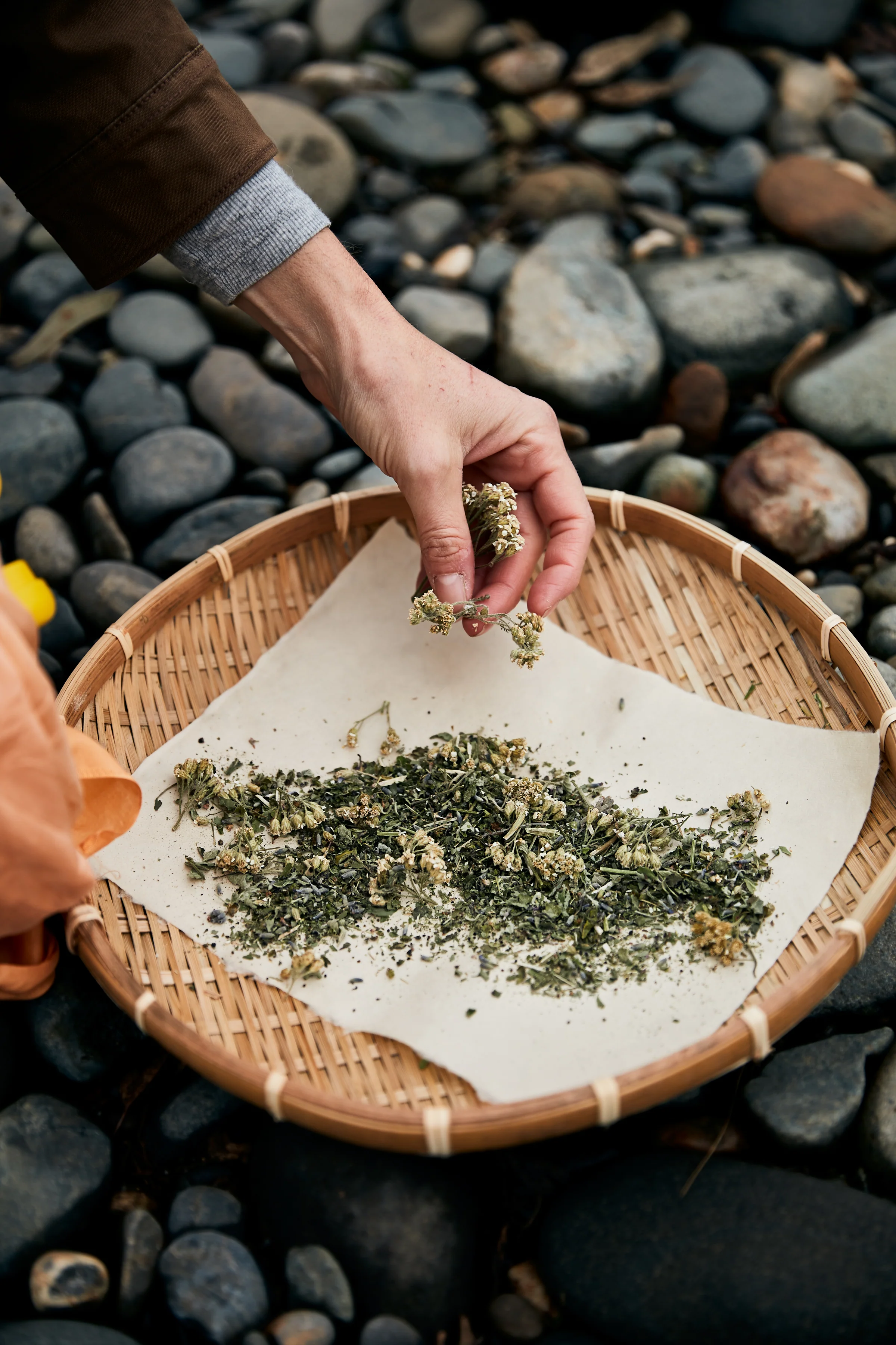 Purple Flower White Flower - Image 3