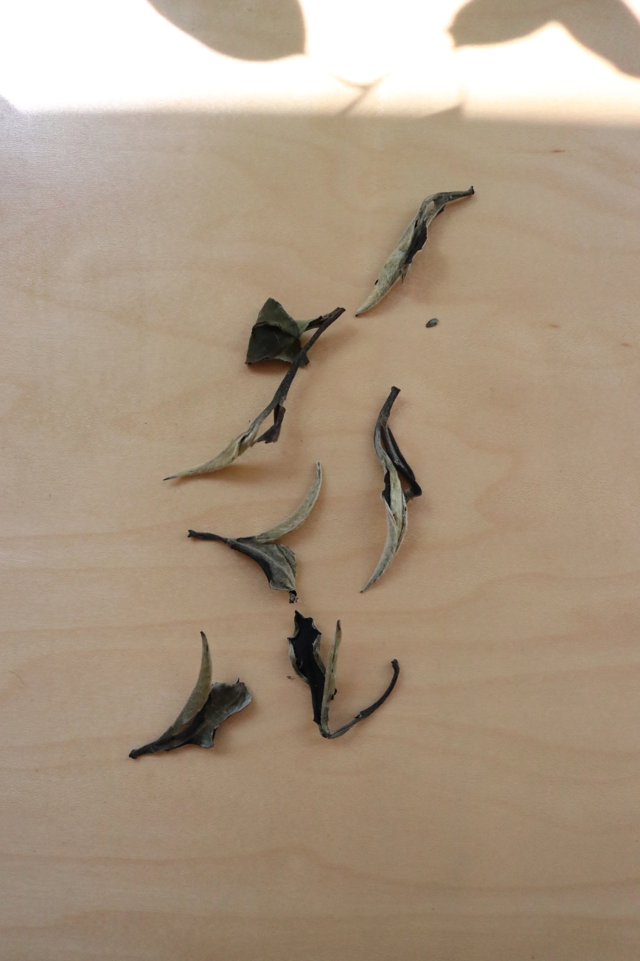 White Moonlight Pu-erh - Image 3